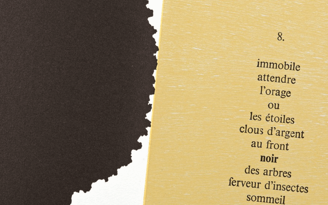 Des mots en images: literaire ontmoetingen met auteurs