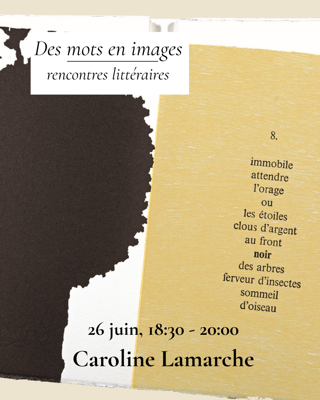 Des-mots-en-images_-Caroline-Lamarche