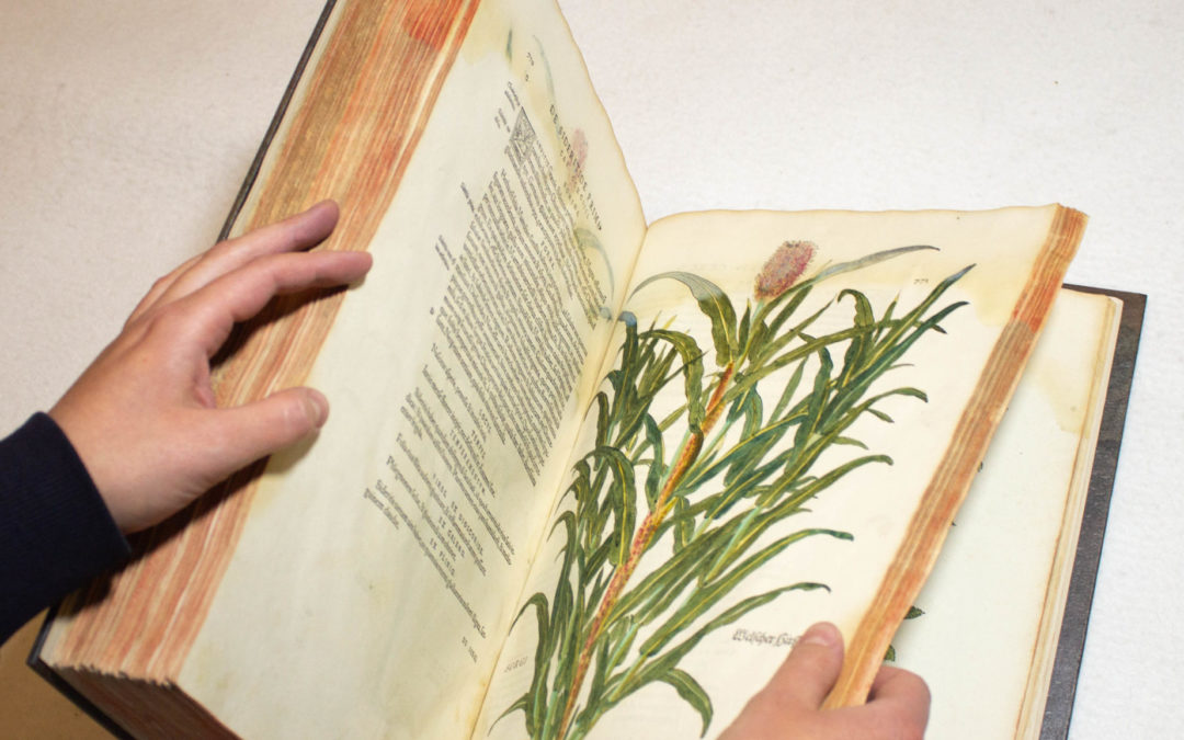 Monstration de livres