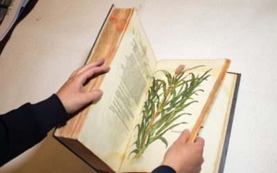 First sunday of the month